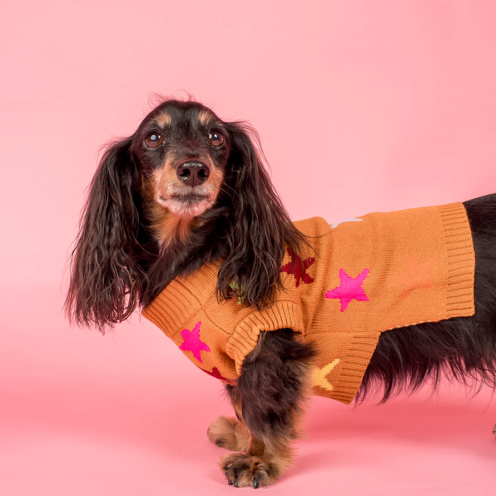 Pablo & Co You're A Star Sweater