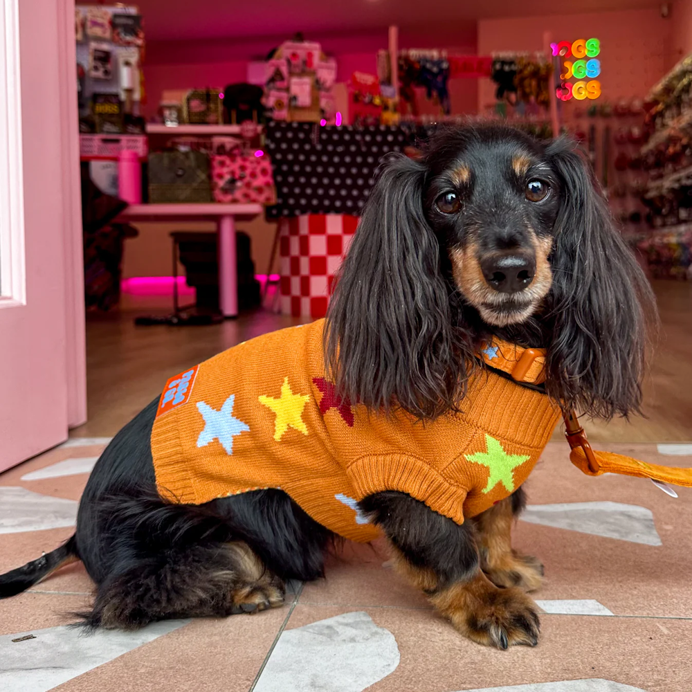 Pablo & Co You're A Star Sweater