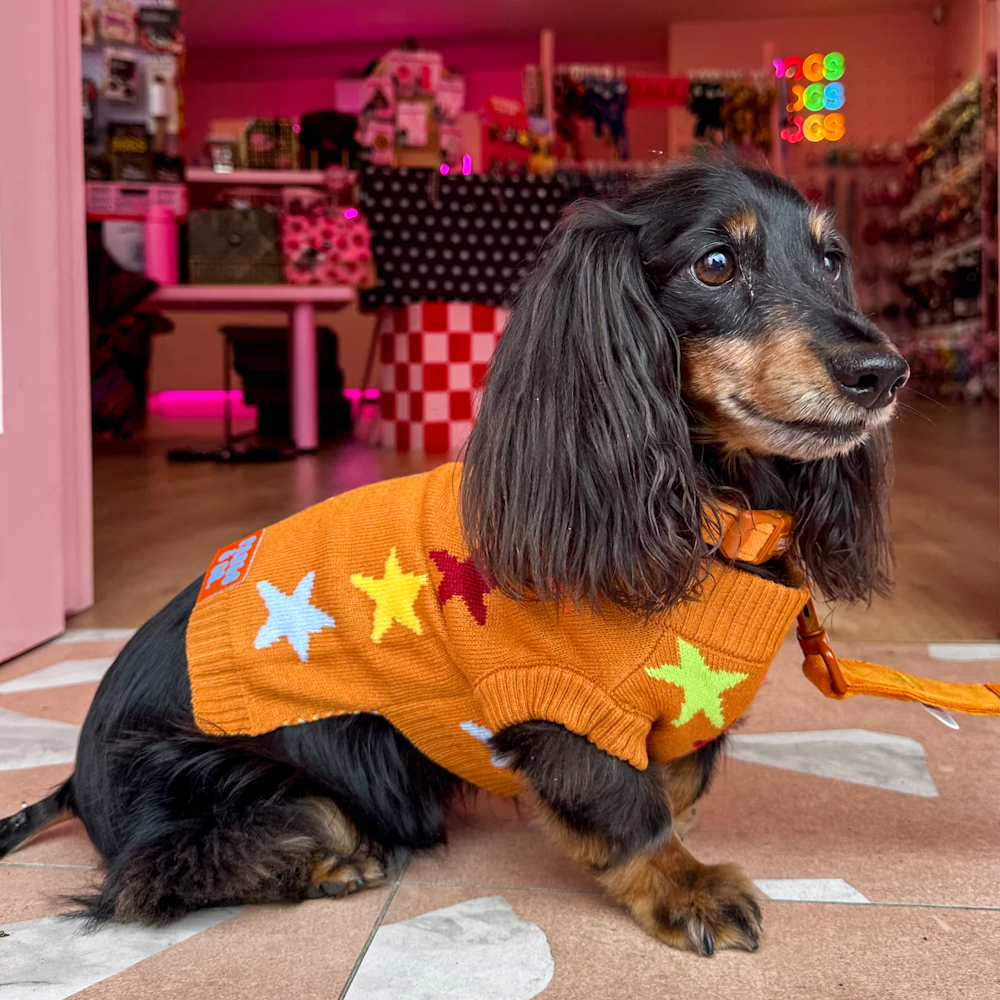 Pablo & Co You're A Star Sweater
