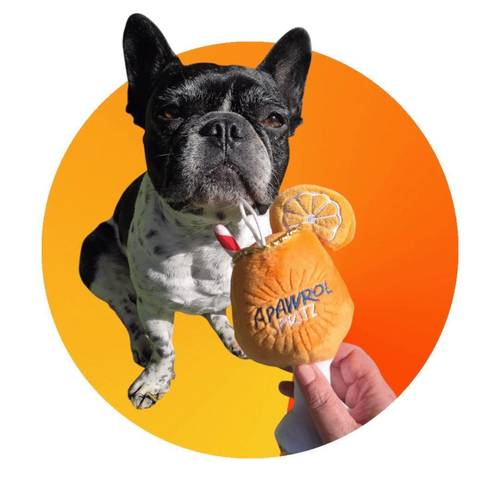 Apawrol Spritz Dog Toy - Designer Toys from Haute Diggity Dog at DoggyTopia