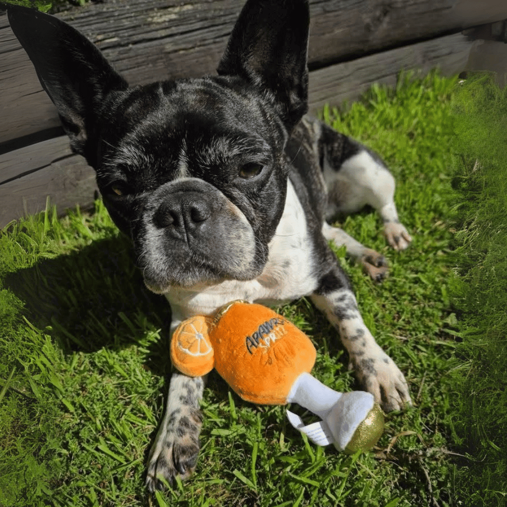 Apawrol Spritz Dog Toy - Designer Toys from Haute Diggity Dog at DoggyTopia