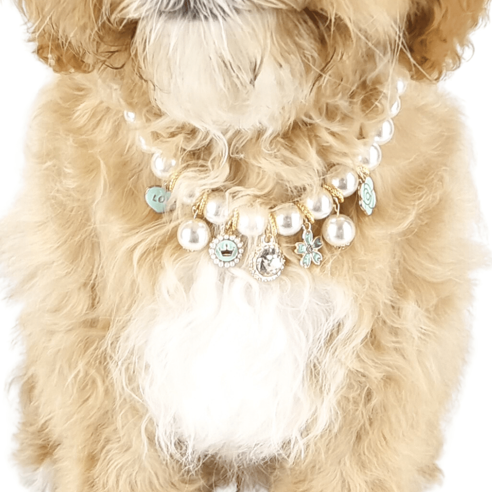 Audrey Pearl Dog Necklace - Aqua - Dog Necklaces from . at DoggyTopia