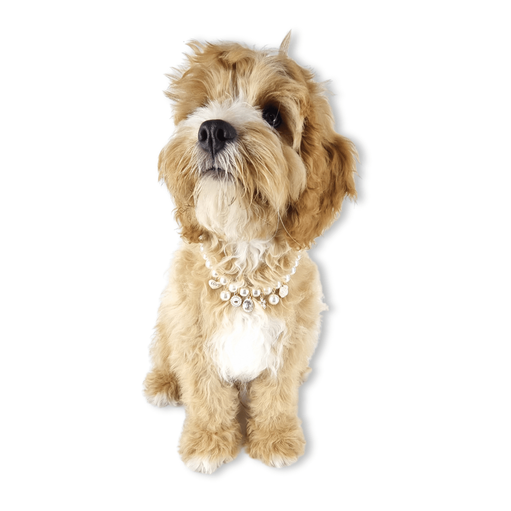 Audrey Pearl Dog Necklace - Pink - Dog Necklaces from . at DoggyTopia