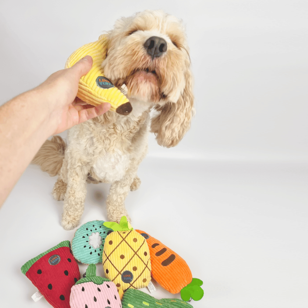 Banana Plush Dog Toy - Plush Toys from . at DoggyTopia