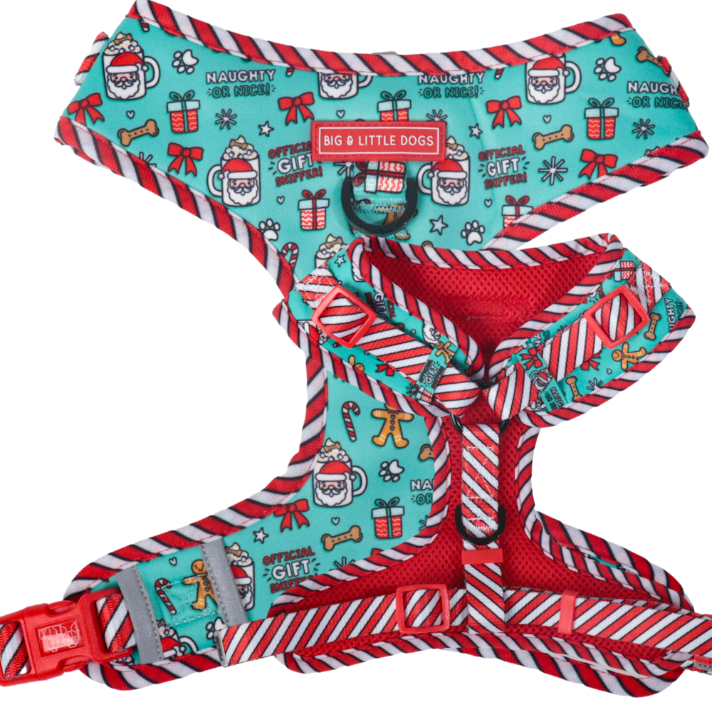 Big & Little Dogs Adjustable Harness: Official Gift Sniffer - Adjustable Harnesses from Sale at DoggyTopia