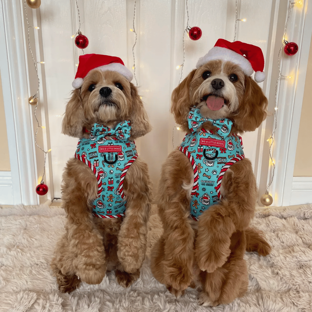 Big & Little Dogs Adjustable Harness: Official Gift Sniffer - Adjustable Harnesses from Sale at DoggyTopia