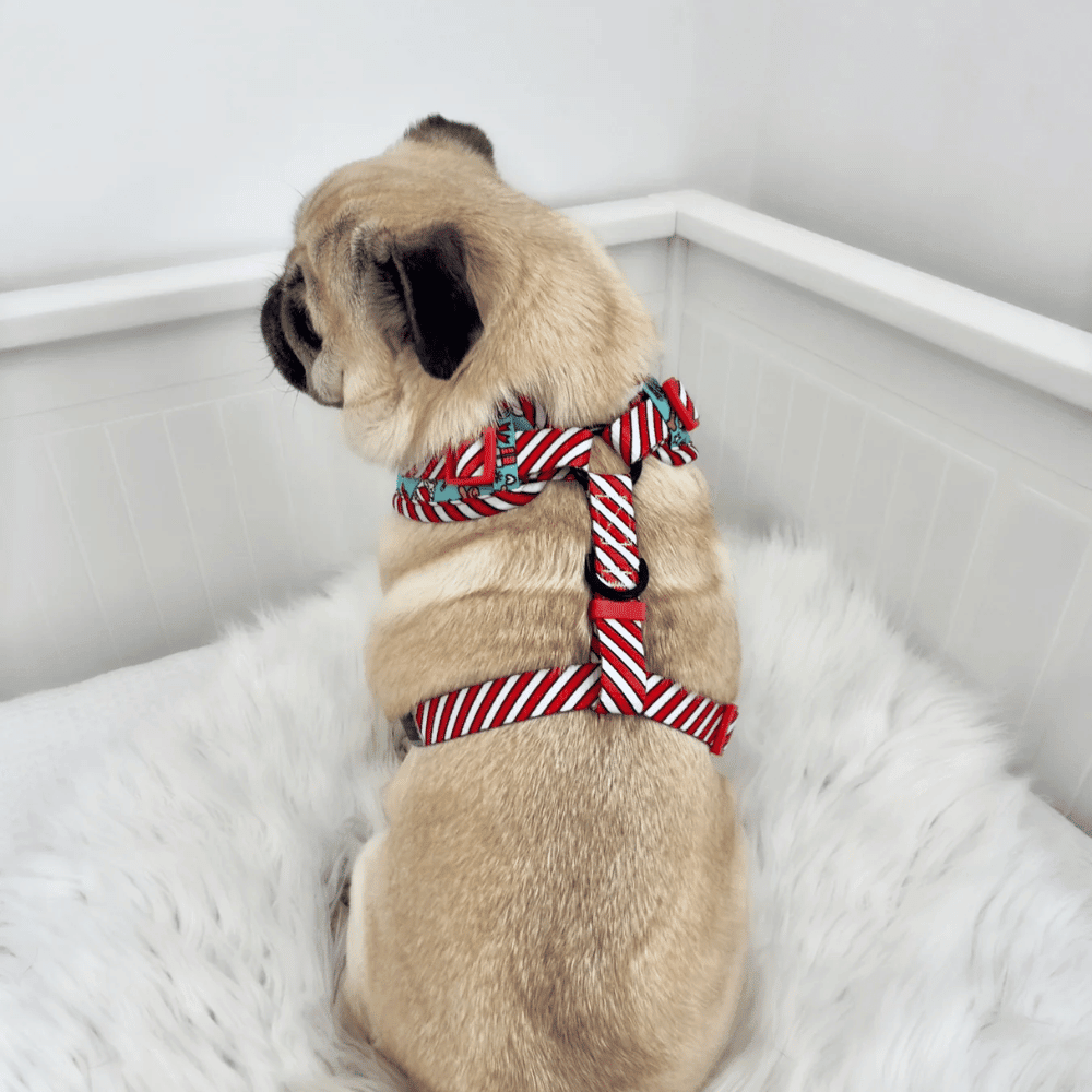 Big & Little Dogs Adjustable Harness: Official Gift Sniffer - Adjustable Harnesses from Sale at DoggyTopia
