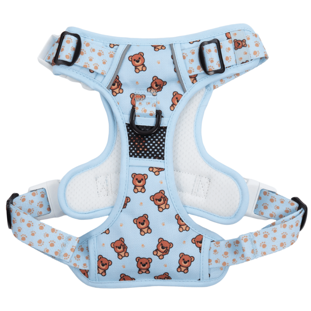 Big & Little Dogs All Rounder Harness: Cuddle Club - All Rounder Harnesses from Big & Little Dogs at DoggyTopia