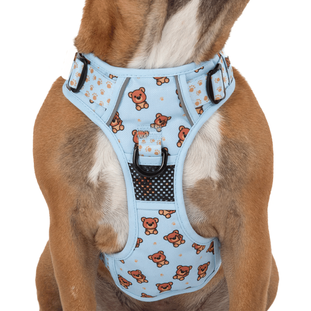 Big & Little Dogs All Rounder Harness: Cuddle Club - All Rounder Harnesses from Big & Little Dogs at DoggyTopia