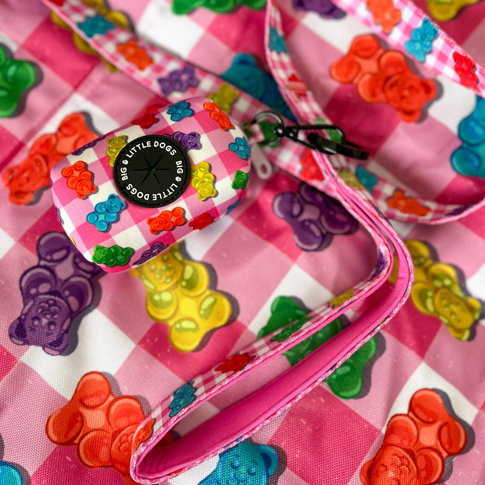 Big & Little Dogs Beary Sweet Dog Leash - Leashes & Leads from Sale at DoggyTopia