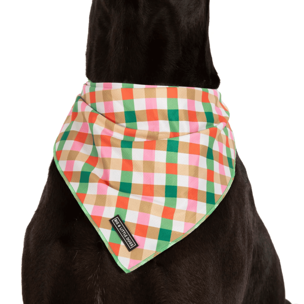 Big & Little Dogs Candy Lane Plaid Dog Bandana - Bandanas from Sale at DoggyTopia