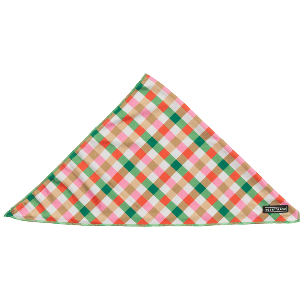 Big & Little Dogs Candy Lane Plaid Dog Bandana - Bandanas from Sale at DoggyTopia