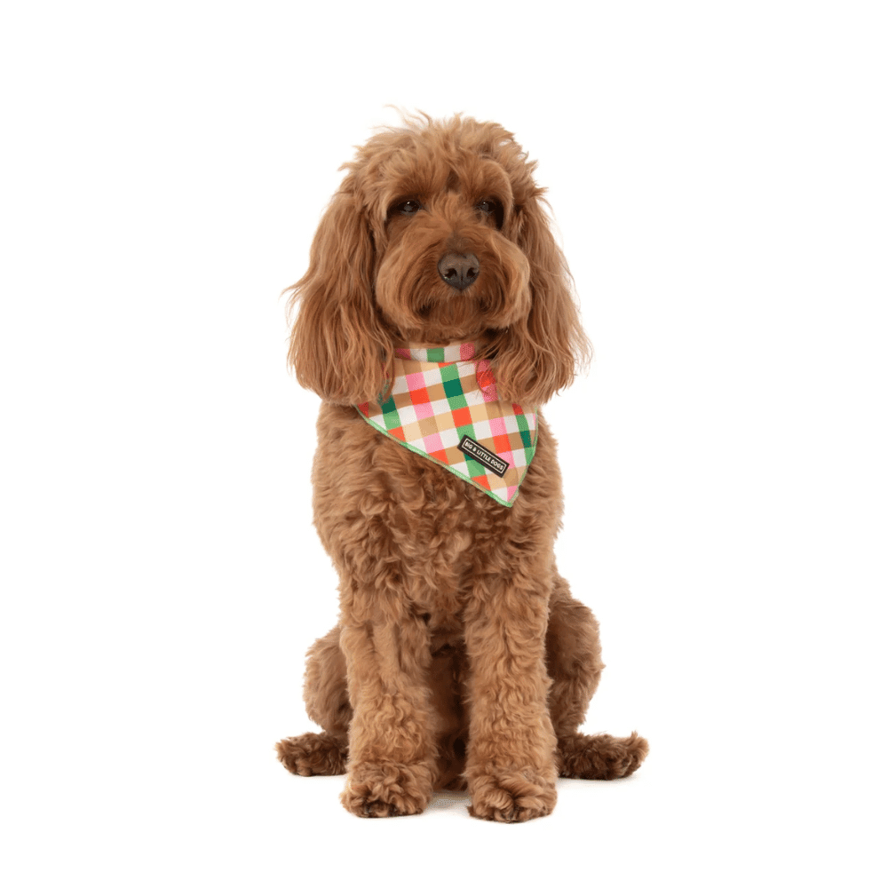 Big & Little Dogs Candy Lane Plaid Dog Bandana - Bandanas from Sale at DoggyTopia