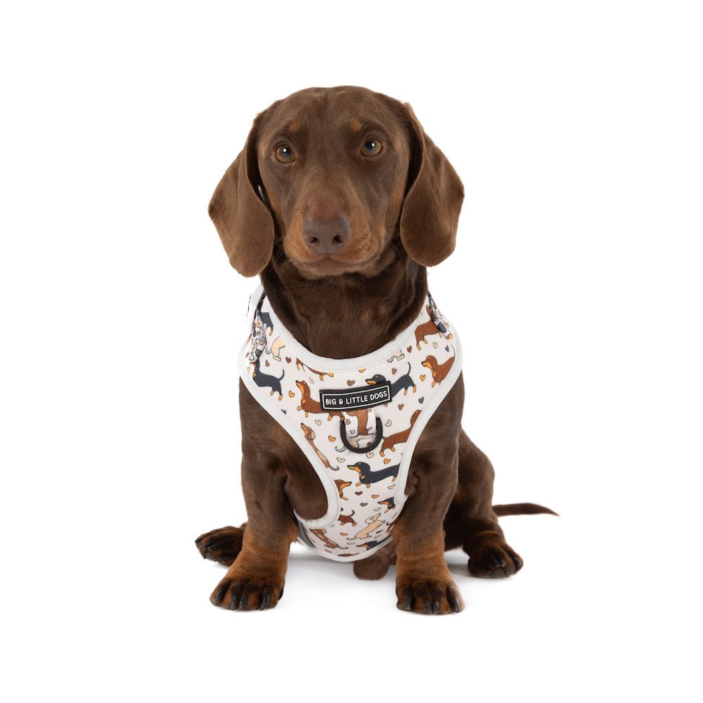 Big & Little Dogs Dashie Lovers Adjustable Harness - Adjustable Harnesses from Sale at DoggyTopia