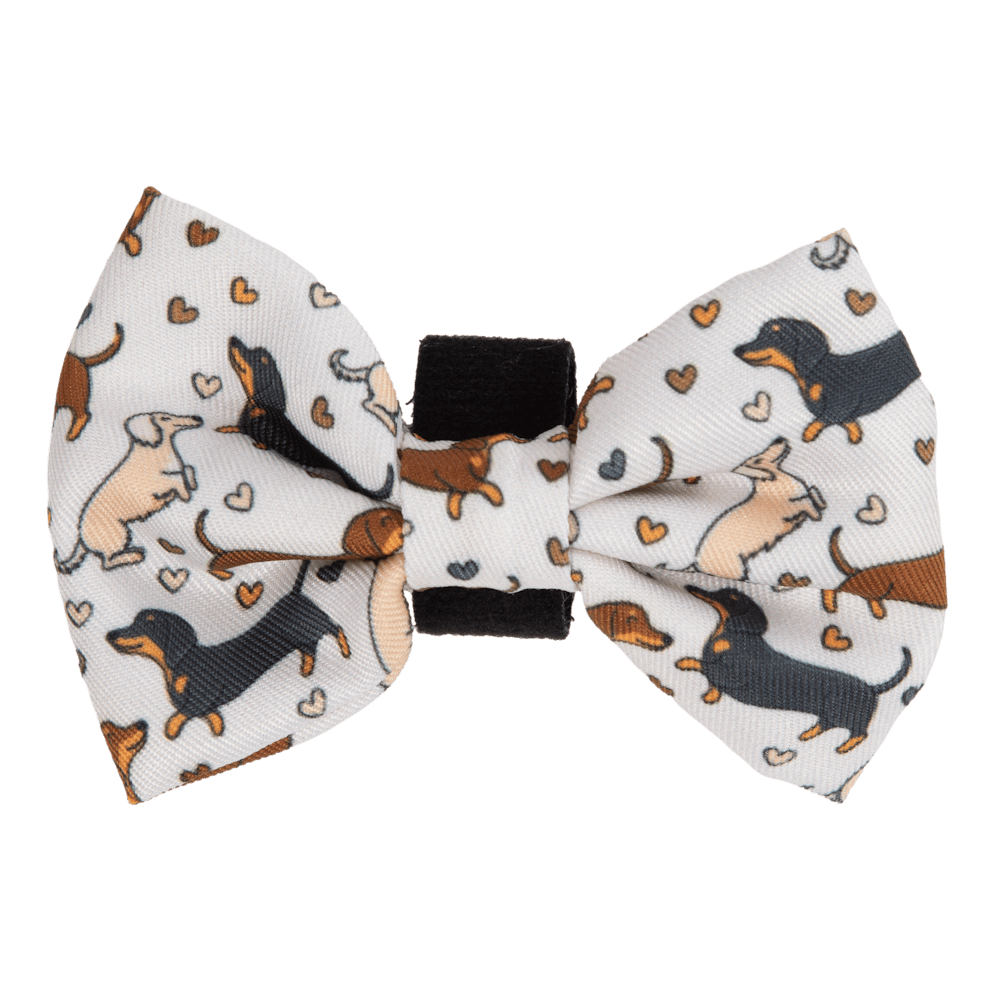 Big & Little Dogs Dashie Lovers Collar & Bow Tie - Collar & Bow Ties from Sale at DoggyTopia