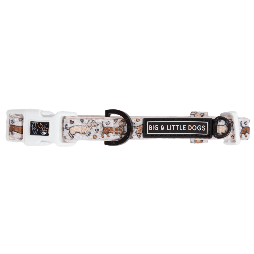 Big & Little Dogs Dashie Lovers Collar & Bow Tie - Collar & Bow Ties from Sale at DoggyTopia