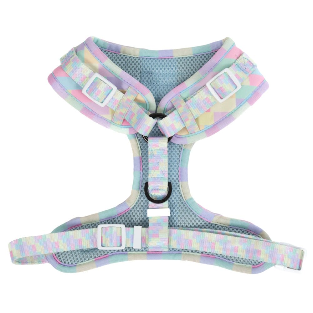 Big & Little Dogs Gelato Adjustable Harness - Adjustable Harnesses from Big & Little Dogs at DoggyTopia