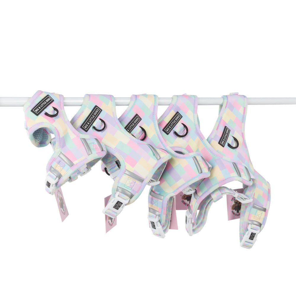 Big & Little Dogs Gelato Adjustable Harness - Adjustable Harnesses from Big & Little Dogs at DoggyTopia