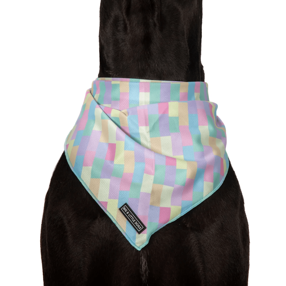 Big & Little Dogs Gelato Bandana - Bandanas from Big & Little Dogs at DoggyTopia