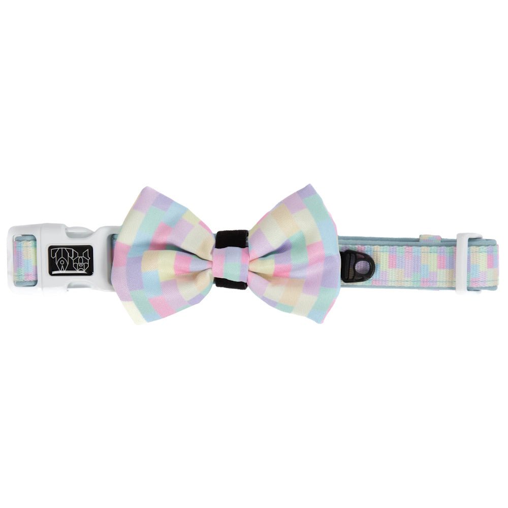 Big & Little Dogs Gelato Collar & Bow Tie - Collar & Bow Ties from Big & Little Dogs at DoggyTopia