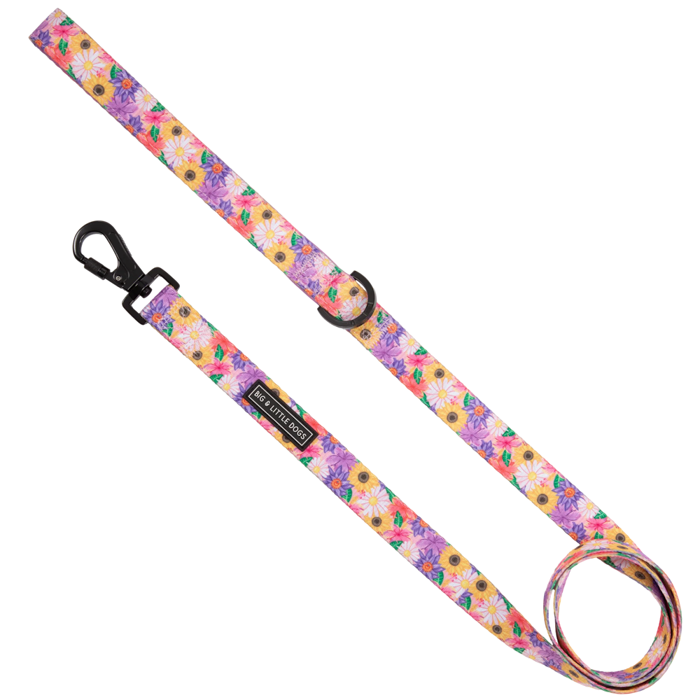 Big & Little Dogs Leash: Spring Fling - Leashes & Leads from Sale at DoggyTopia