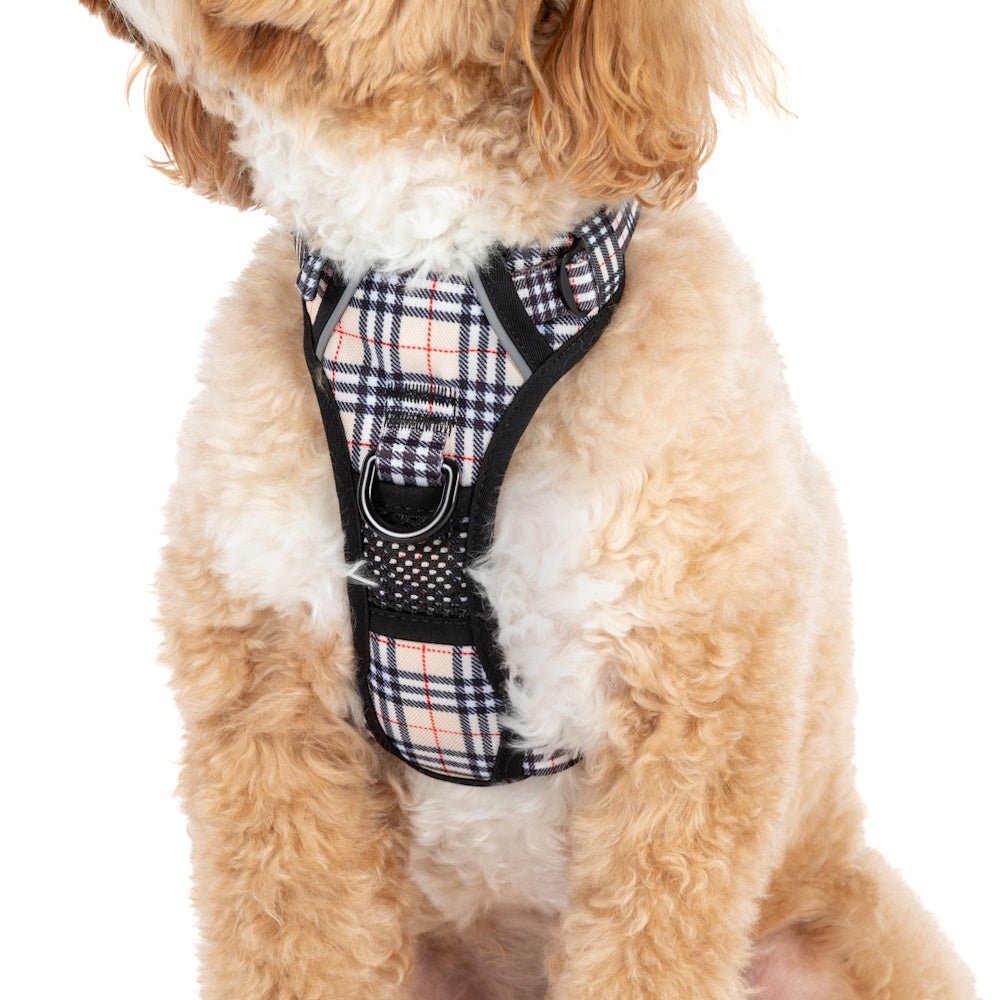 Big & Little Dogs Nova Plaid All Rounder Harness - All Rounder Harnesses from Big & Little Dogs at DoggyTopia