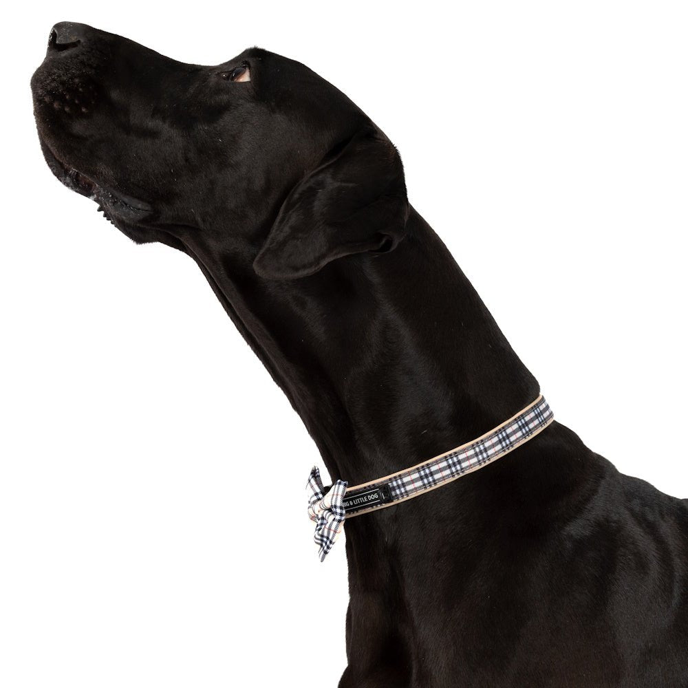 Big & Little Dogs Nova Plaid Collar & Bow Tie - Collar & Bow Ties from Big & Little Dogs at DoggyTopia