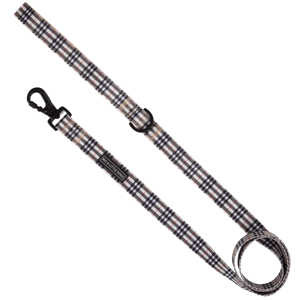 Big & Little Dogs Nova Plaid Dog Leash - Leashes & Leads from Big & Little Dogs at DoggyTopia