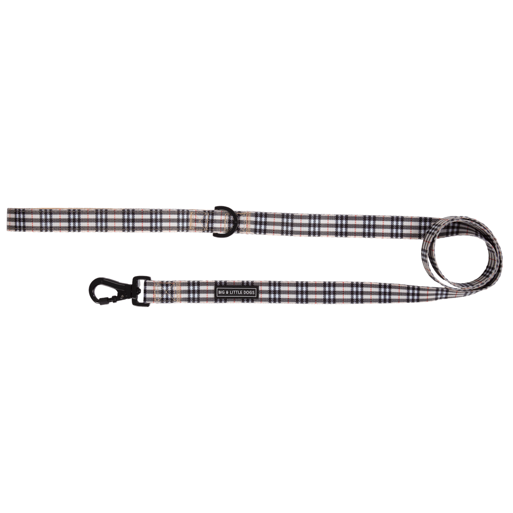 Big & Little Dogs Nova Plaid Dog Leash - Leashes & Leads from Big & Little Dogs at DoggyTopia