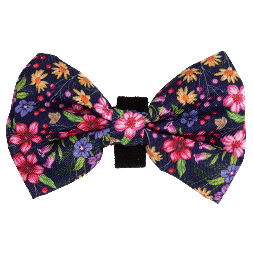 Big & Little Dogs Petal Paradise Collar & Bow Tie - Collar & Bow Ties from Sale at DoggyTopia
