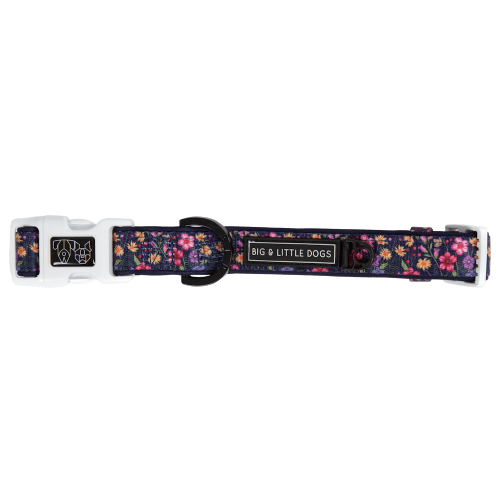 Big & Little Dogs Petal Paradise Collar & Bow Tie - Collar & Bow Ties from Sale at DoggyTopia