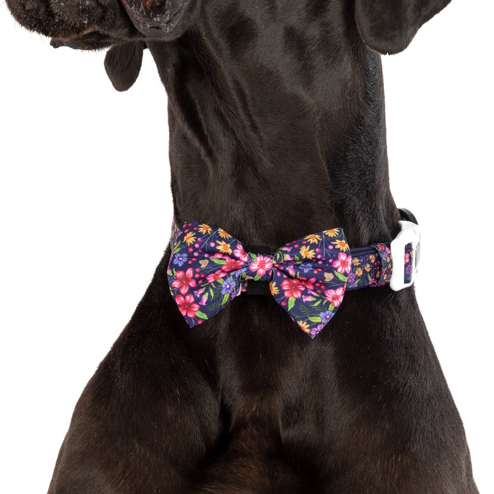 Big & Little Dogs Petal Paradise Collar & Bow Tie - Collar & Bow Ties from Sale at DoggyTopia