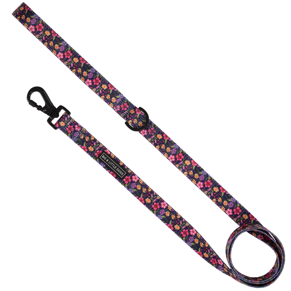Big & Little Dogs Petal Paradise Dog Leash - Leashes & Leads from Sale at DoggyTopia