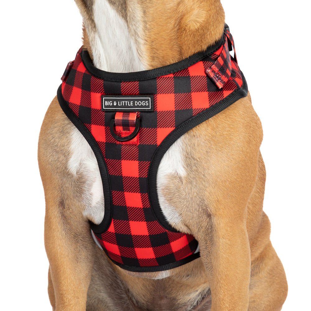 Big & Little Dogs Plaid to the Bone Adjustable Harness - Adjustable Harnesses from Big & Little Dogs at DoggyTopia