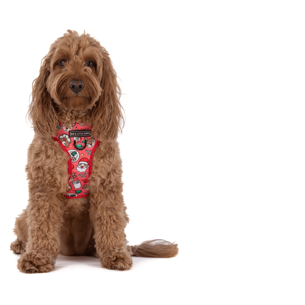 Big & Little Dogs Santa's Cookies Adjustable Harness - Adjustable Harnesses from Sale at DoggyTopia