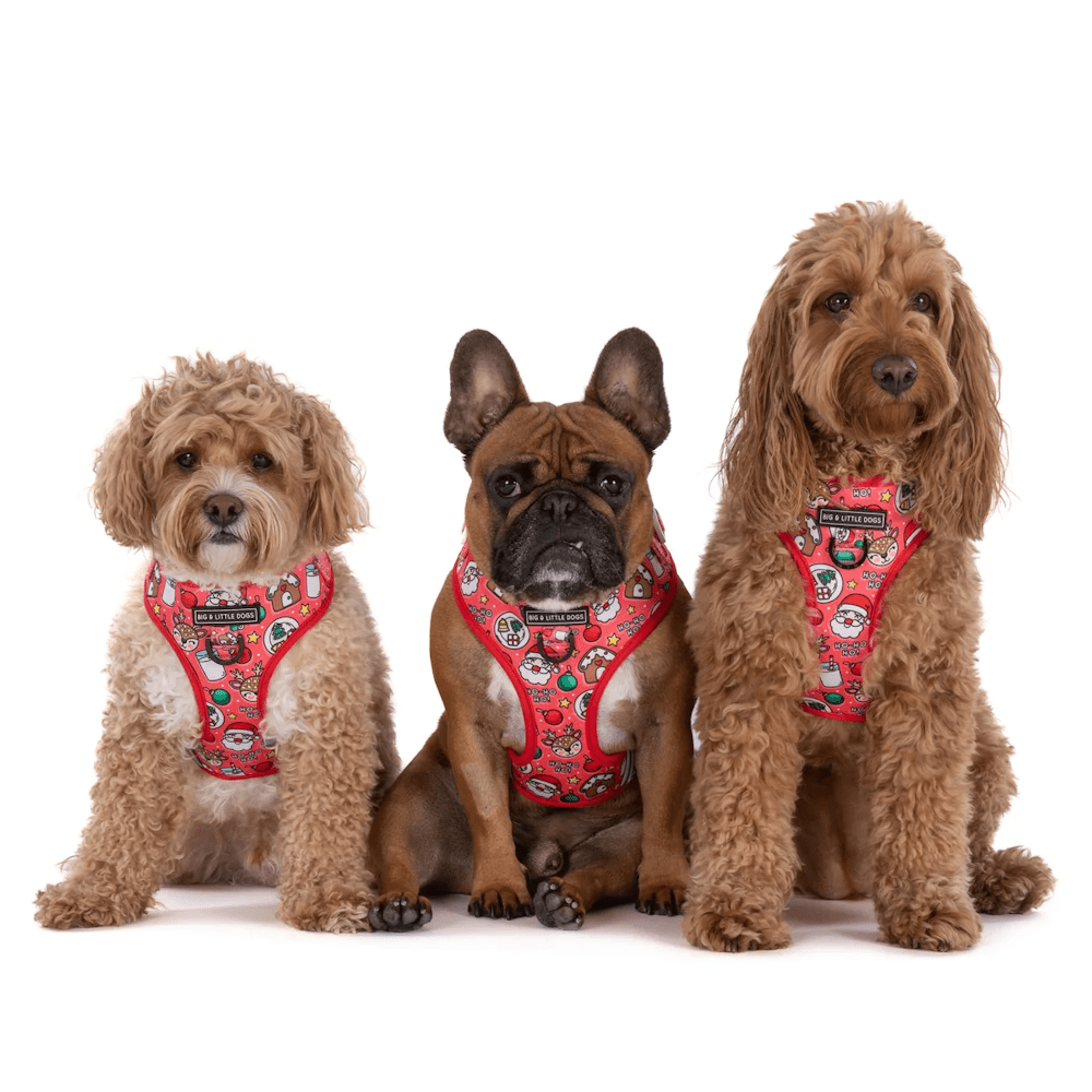 Big & Little Dogs Santa's Cookies Adjustable Harness - Adjustable Harnesses from Sale at DoggyTopia