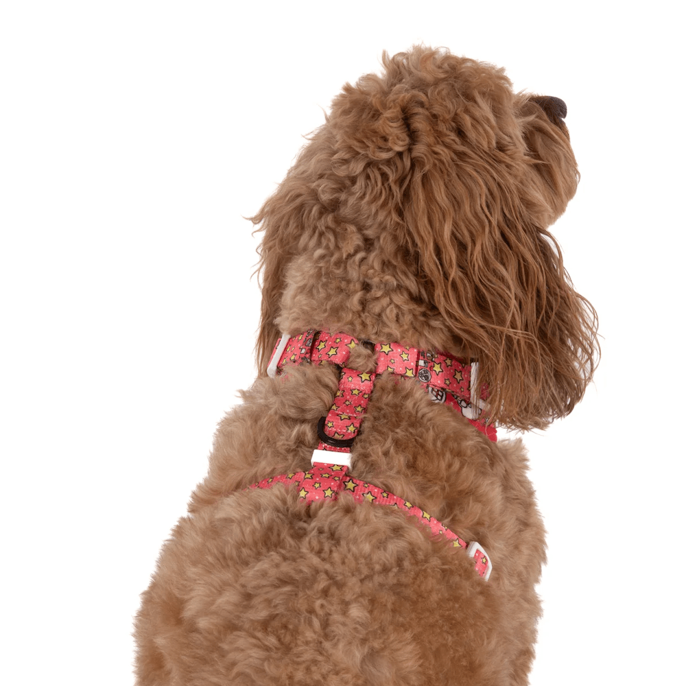 Big & Little Dogs Santa's Cookies Adjustable Harness - Adjustable Harnesses from Sale at DoggyTopia