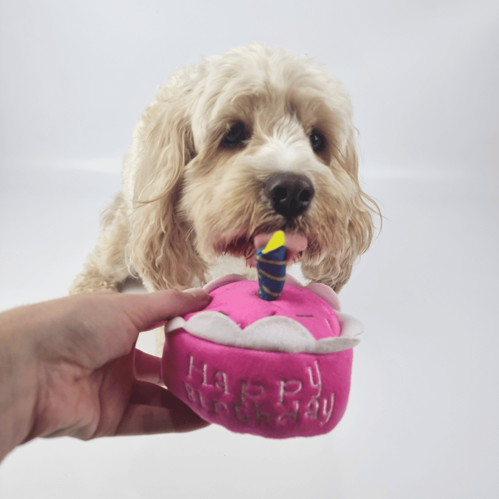 Birthday Cake Dog Toy - Pink - Designer Toys from . at DoggyTopia