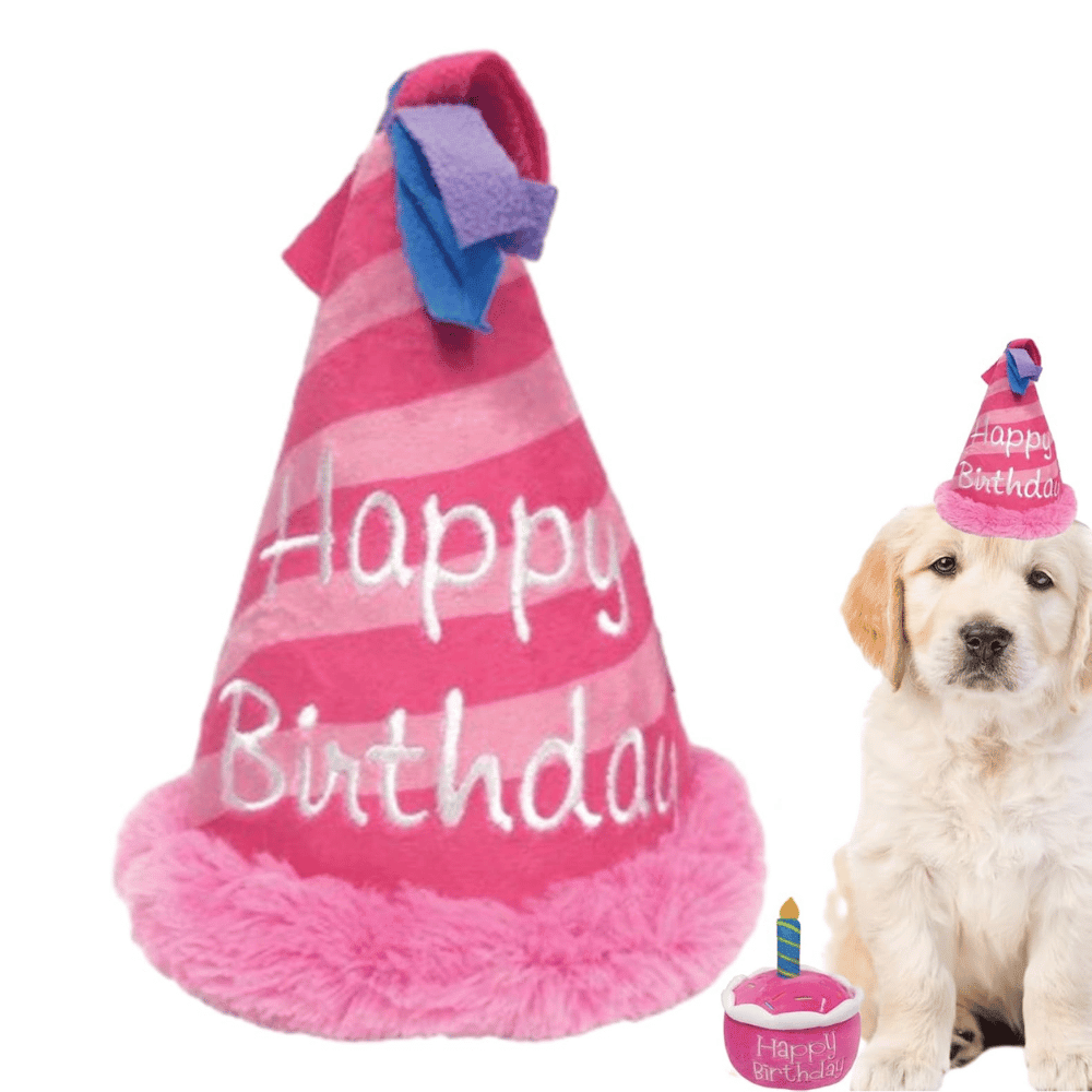 Birthday Party Hat Plush Dog Toy - Pink - Designer Toys from Haute Diggity Dog at DoggyTopia