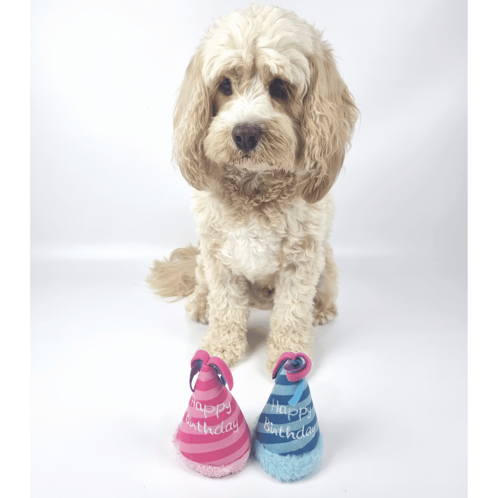 Birthday Party Hat Plush Dog Toy - Pink - Designer Toys from Haute Diggity Dog at DoggyTopia