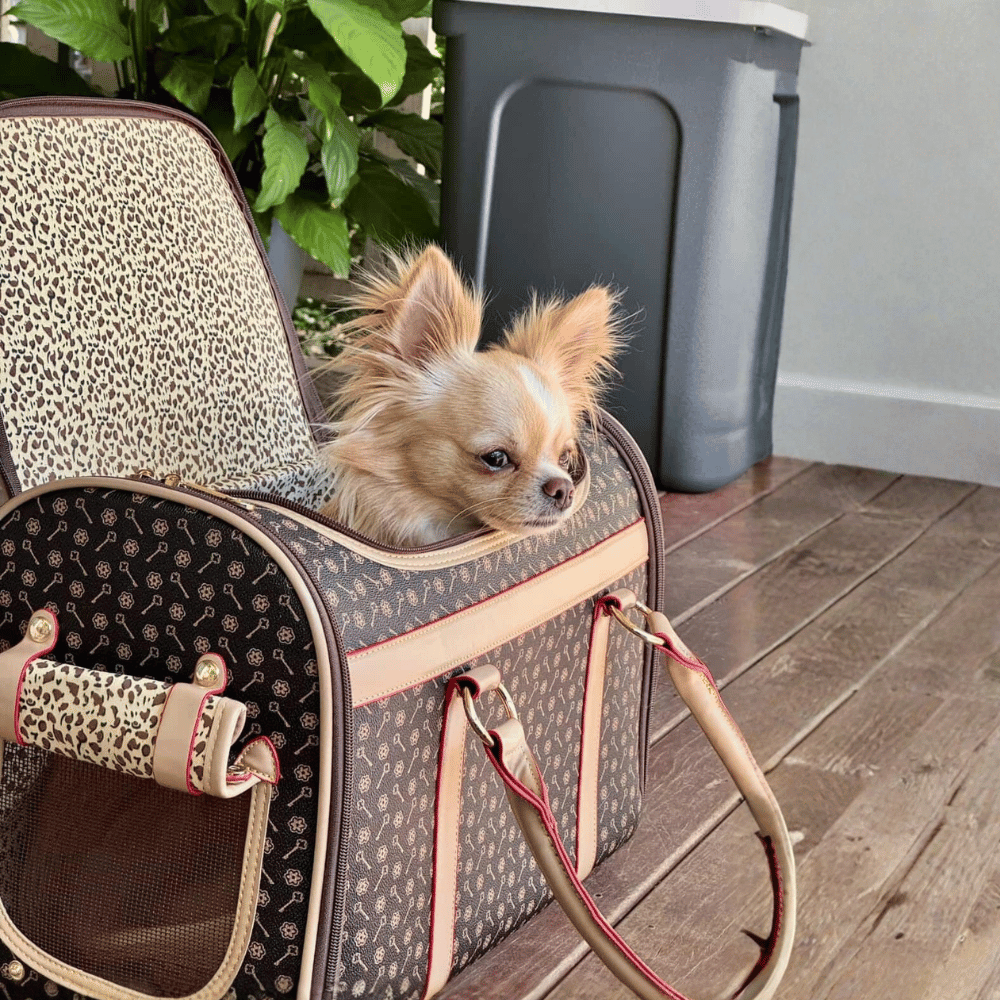 Brown and Tan Pattern Dog Carrier - Dog Carriers from . at DoggyTopia