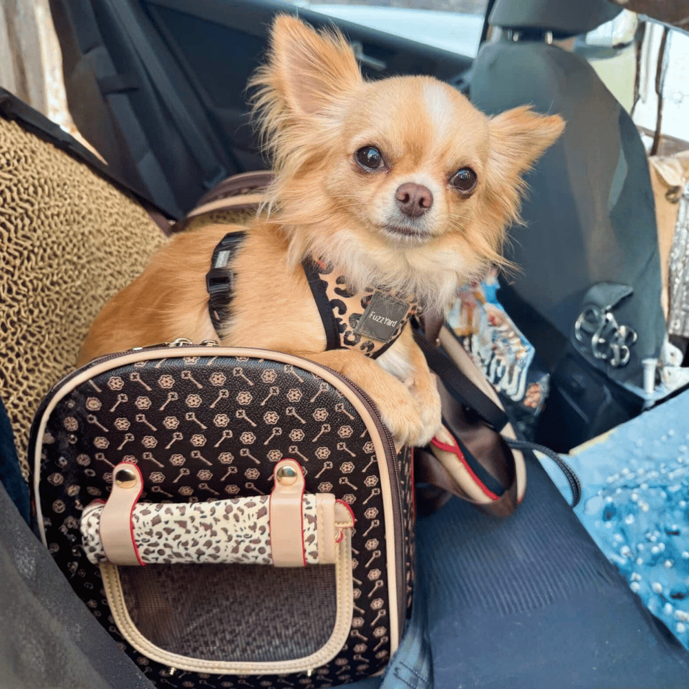 Brown and Tan Pattern Dog Carrier - Dog Carriers from . at DoggyTopia