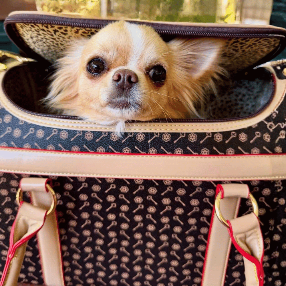 Brown and Tan Pattern Dog Carrier - Dog Carriers from . at DoggyTopia