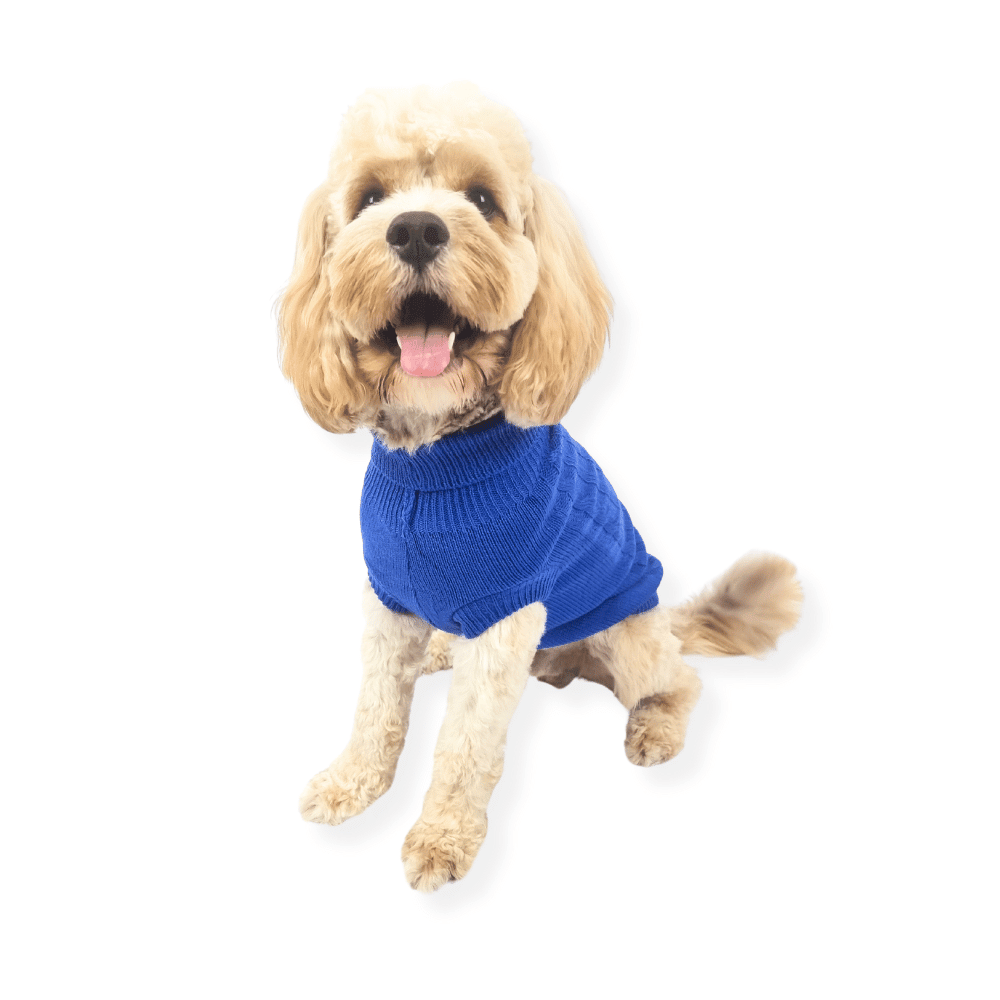 Cable Knit Jumper - Royal Blue - Knit Jumpers from DoggyTopia at DoggyTopia