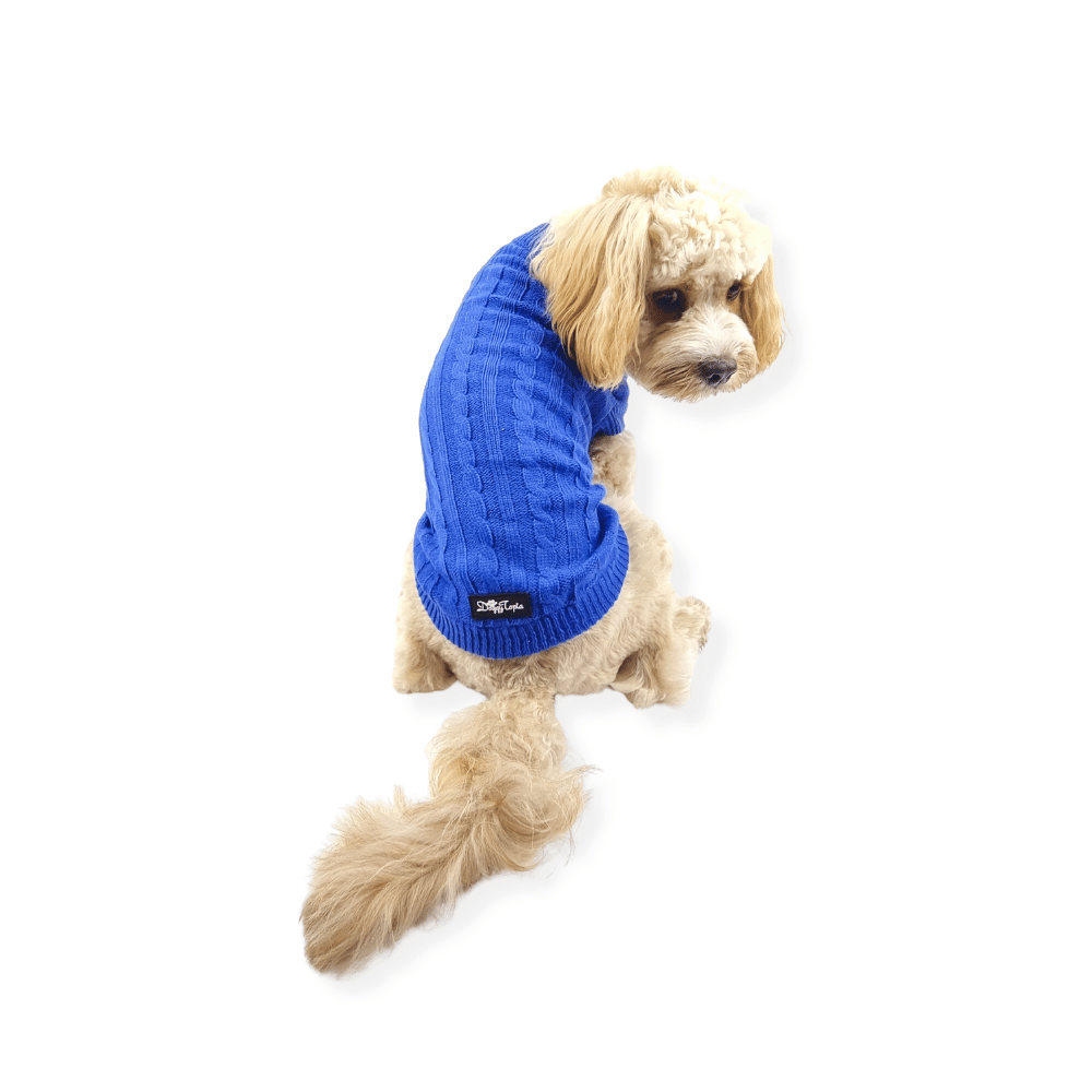 Cable Knit Jumper - Royal Blue - Knit Jumpers from DoggyTopia at DoggyTopia