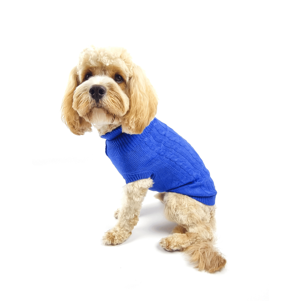 Cable Knit Jumper - Royal Blue - Knit Jumpers from DoggyTopia at DoggyTopia