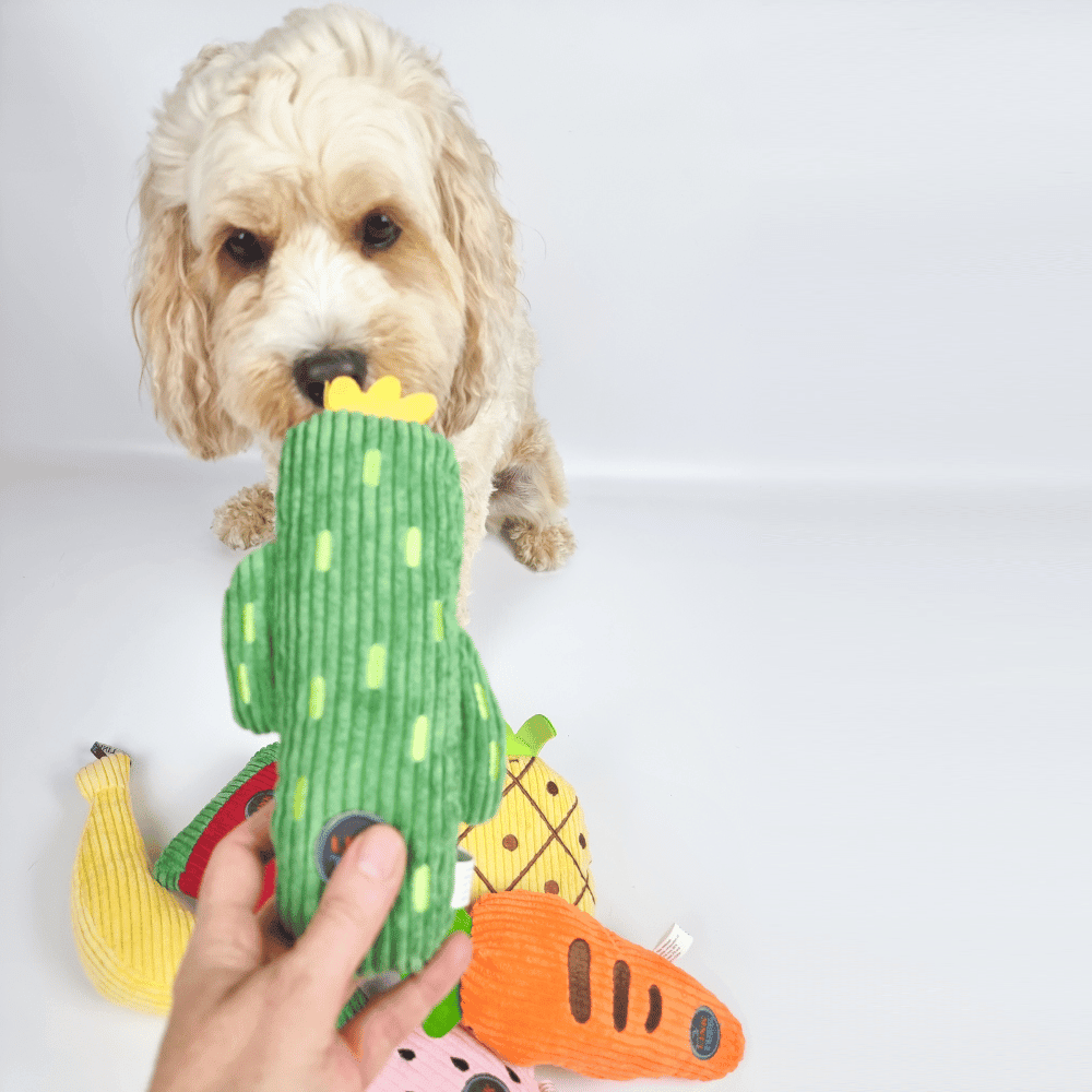 Cactus Plush Dog Toy - Plush Toys from . at DoggyTopia