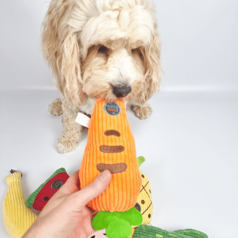 Carrot Plush Dog Toy - Plush Toys from . at DoggyTopia