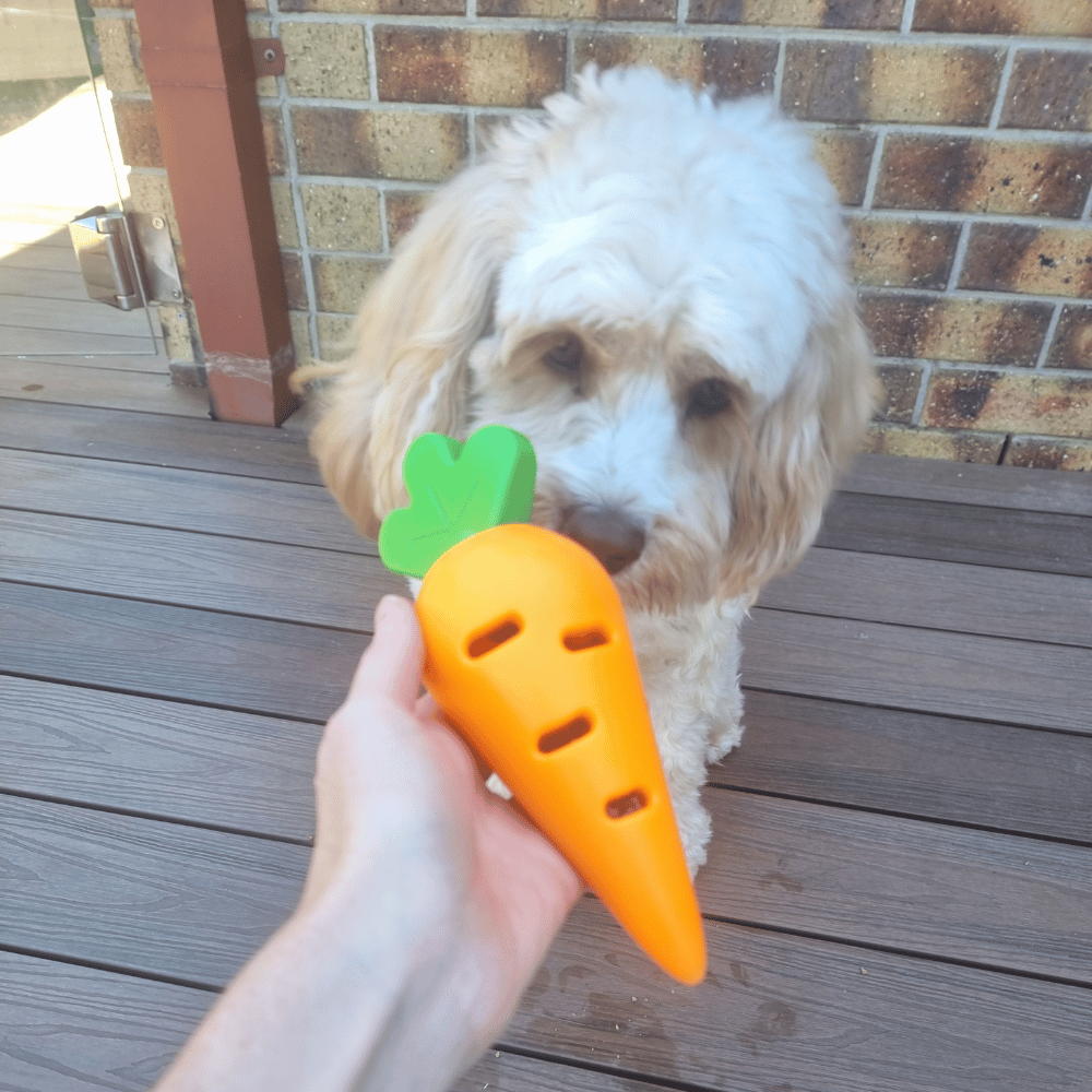 Carrot Treat Dispenser Dog Toy - Enrichment Toys from . at DoggyTopia