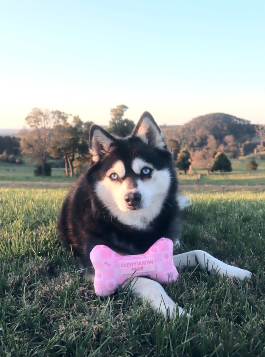 Checker Chewy Vuiton Dog Bone Toy - Pink - Designer Toys from Haute Diggity Dog at DoggyTopia